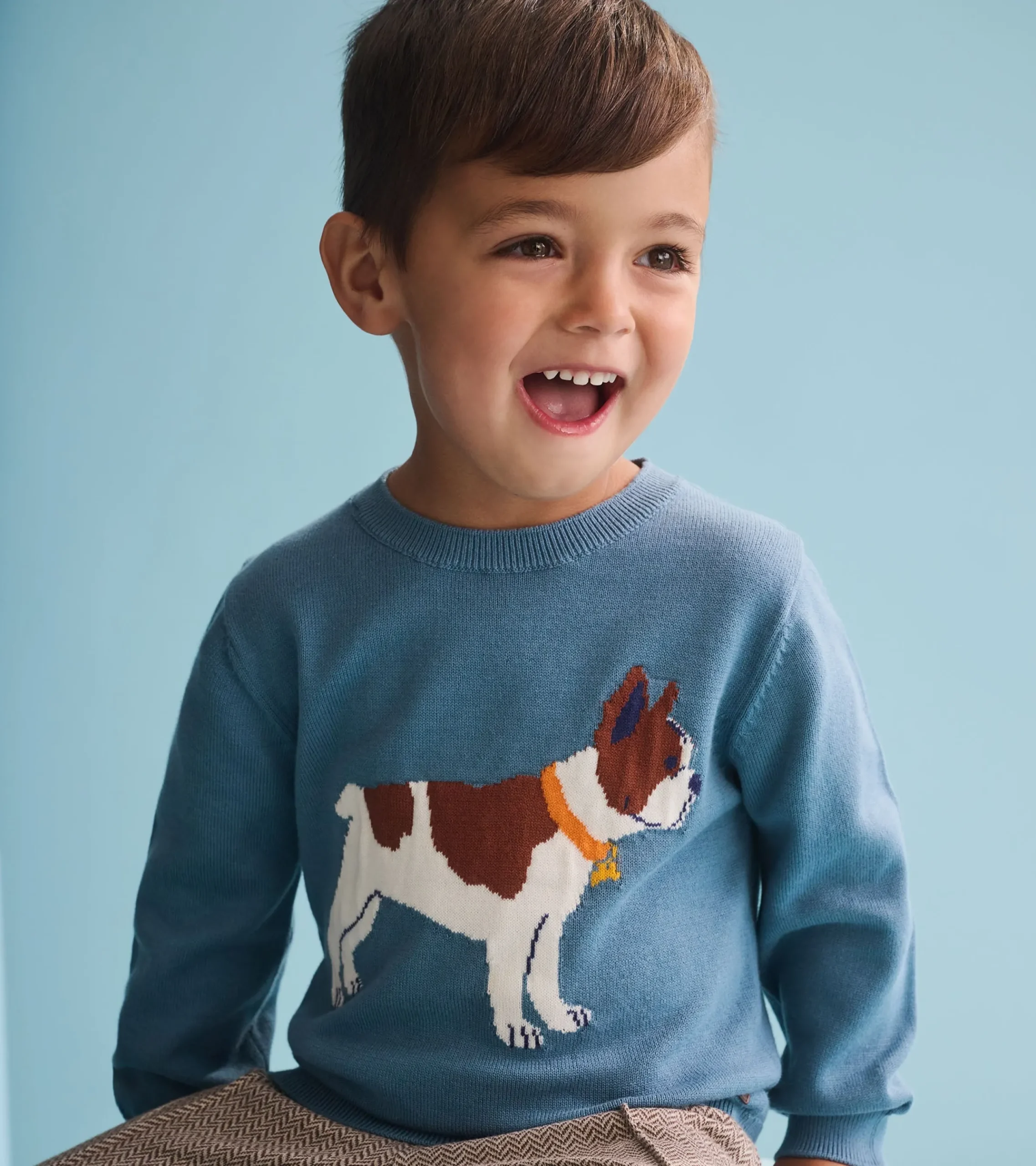 Clearance Hatley Baby & Toddler Boys French Bulldogs Crew Neck Sweater