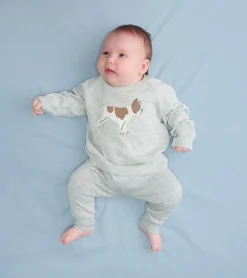 Online Hatley Baby Boys Little Bulldog Pullover Sweater & Pants