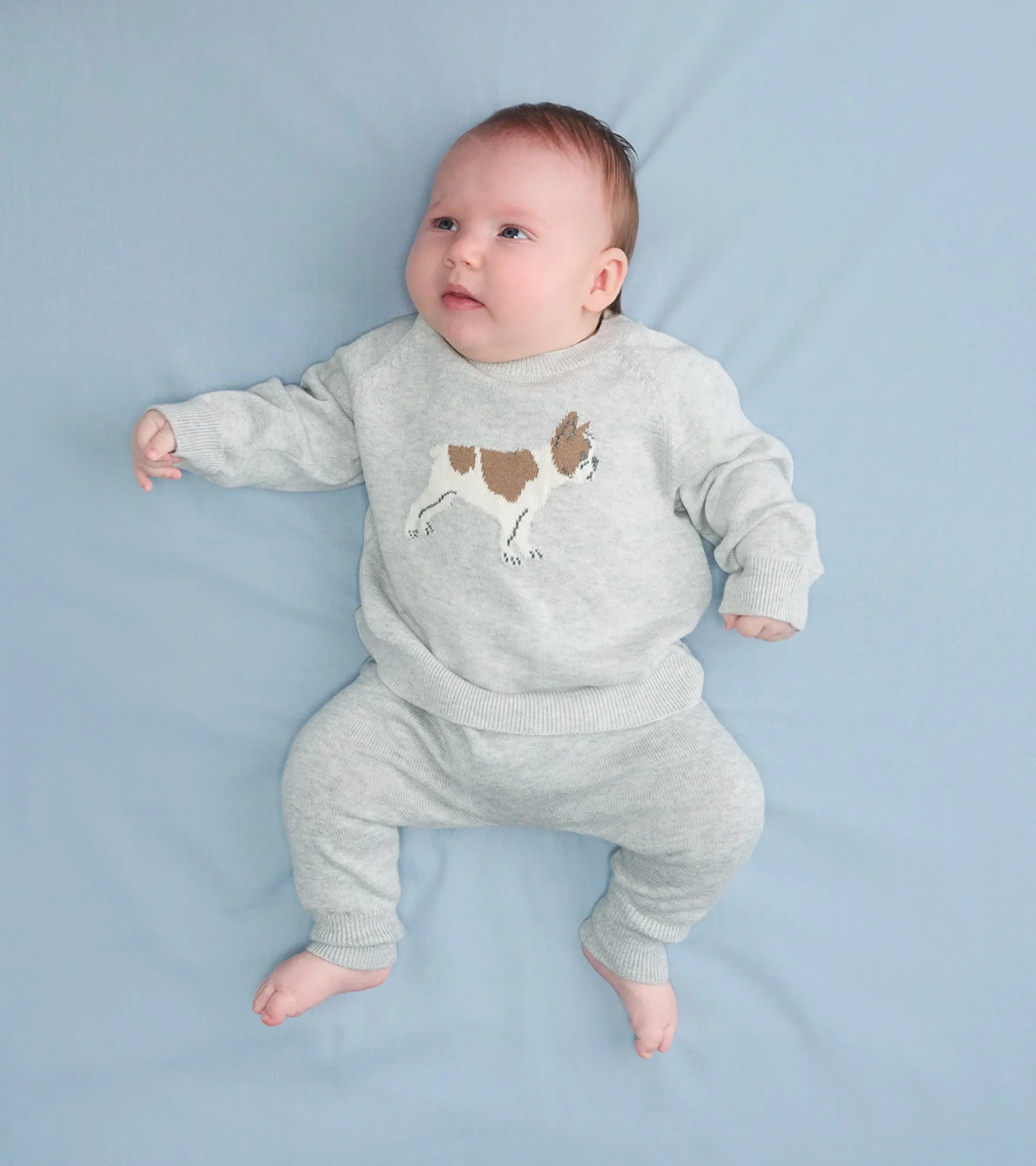 Online Hatley Baby Boys Little Bulldog Pullover Sweater & Pants