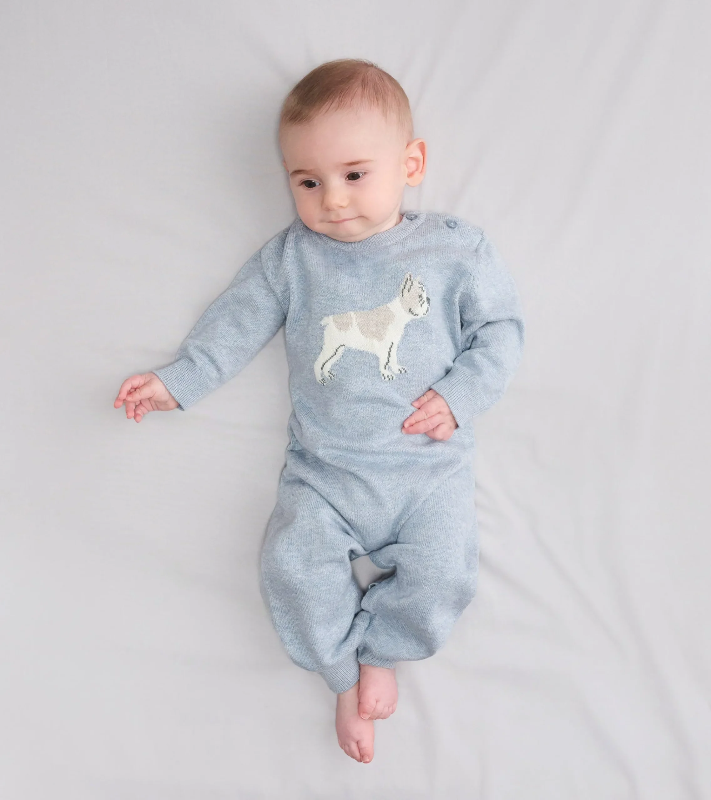 Sale Hatley Baby Boys Little Bulldog Sweater Romper