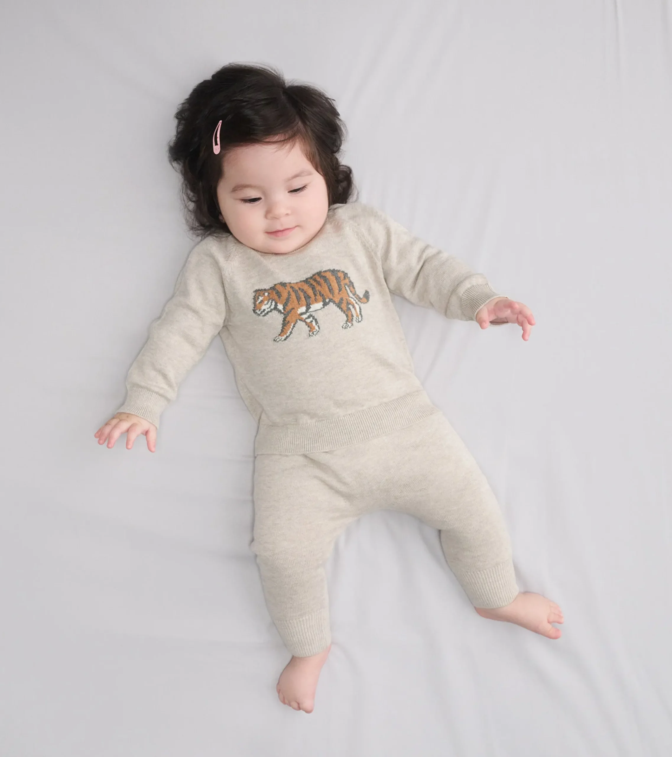 New Hatley Baby Boys Little Tiger Pullover Sweater & Pants