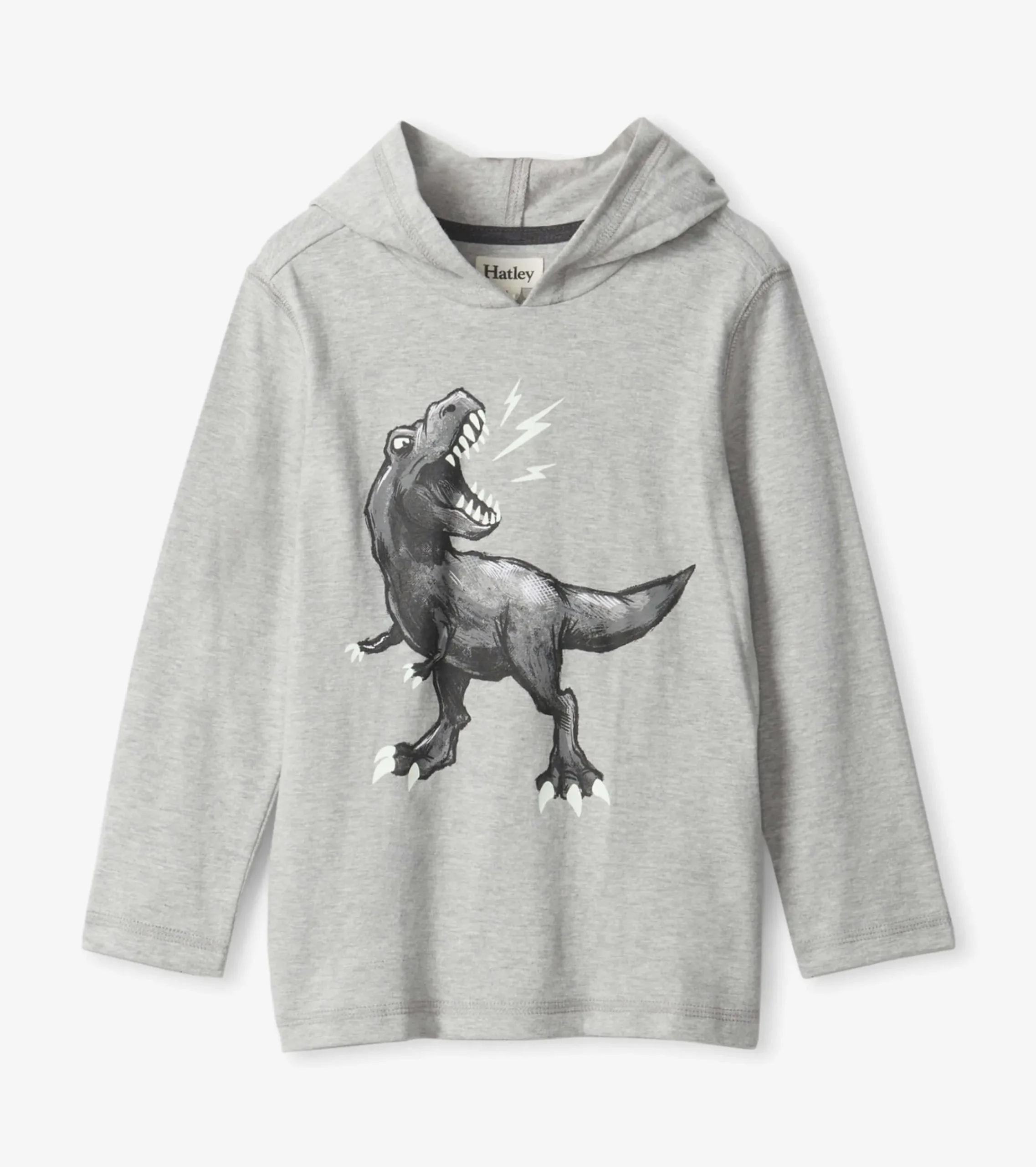 Hot Hatley Boys Dino Long Sleeve Hoodie Tee