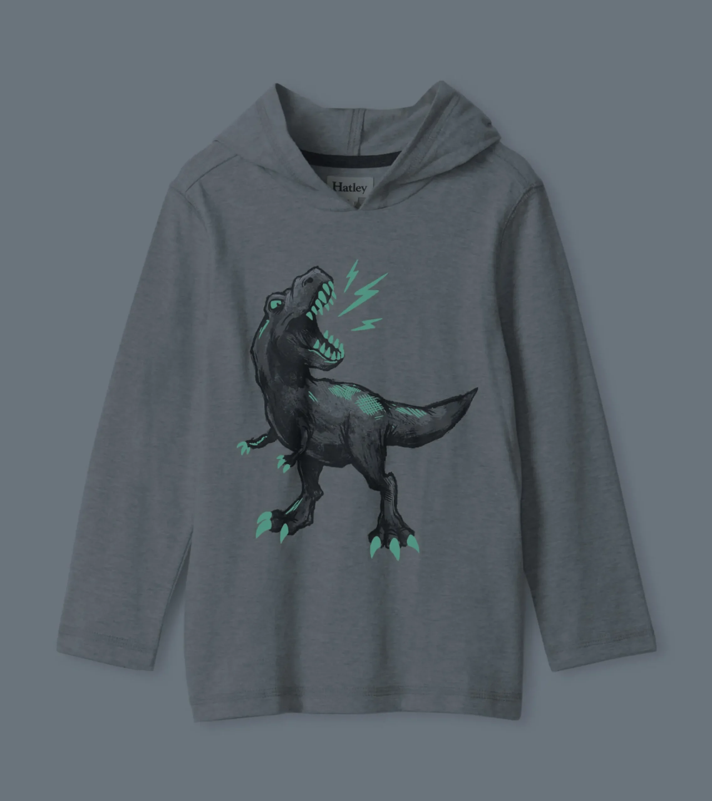 Hot Hatley Boys Dino Long Sleeve Hoodie Tee