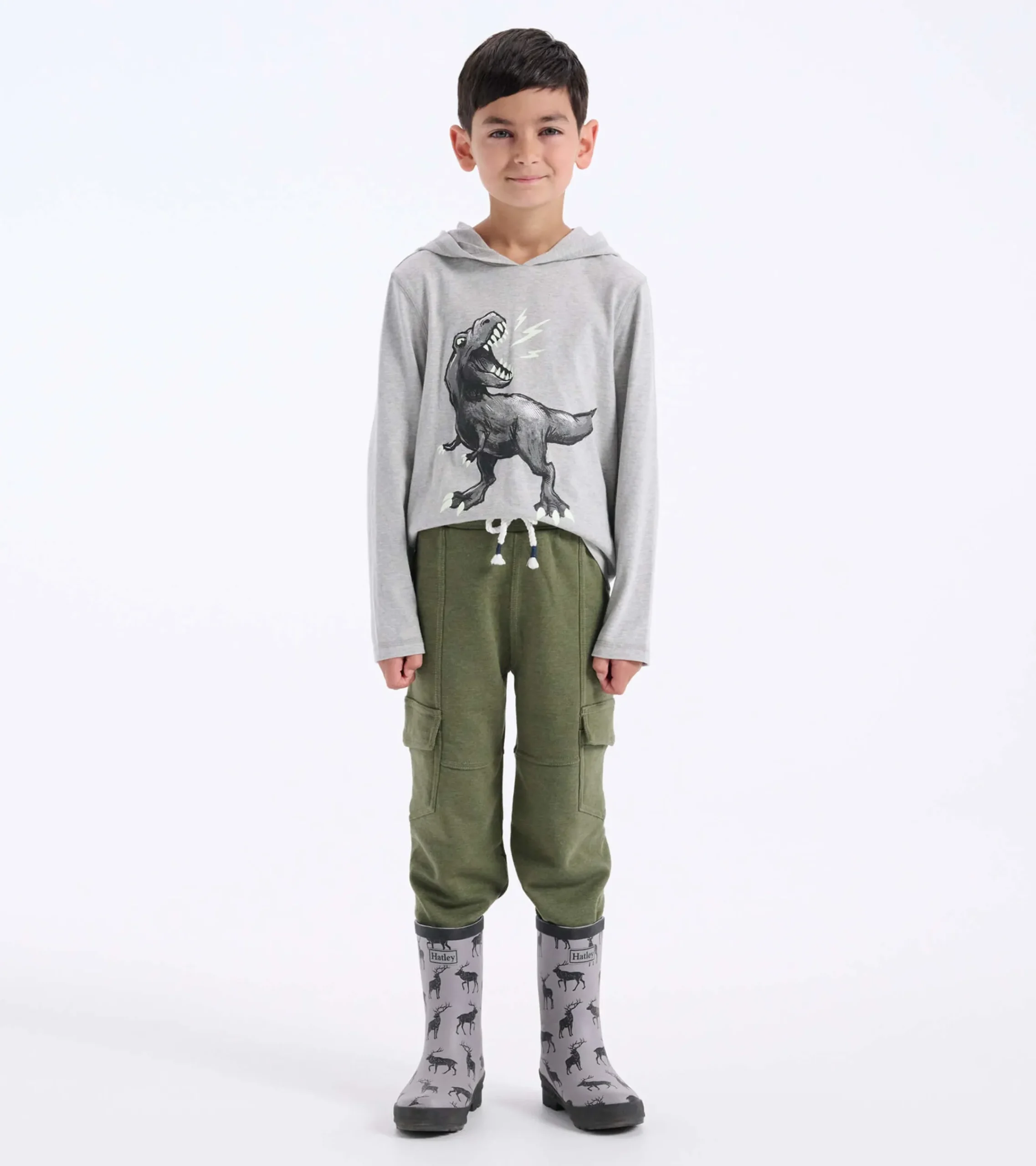 Hot Hatley Boys Dino Long Sleeve Hoodie Tee