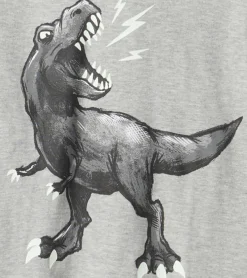 Hot Hatley Boys Dino Long Sleeve Hoodie Tee