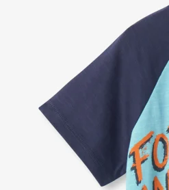 Clearance Hatley Boys Forest Animals Raglan T-Shirt