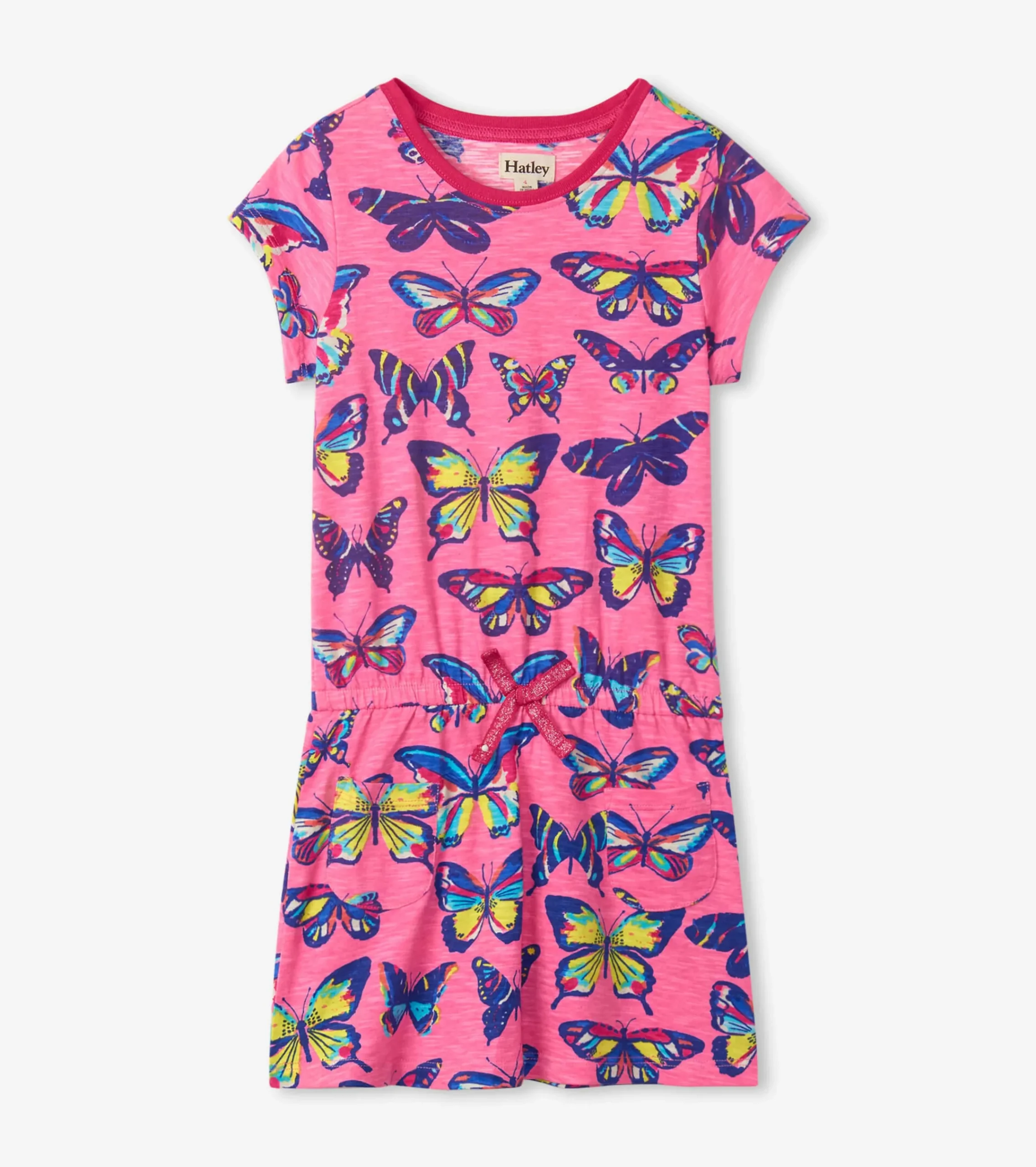Hatley Vibrant Butterflies Drop Waist Dress
